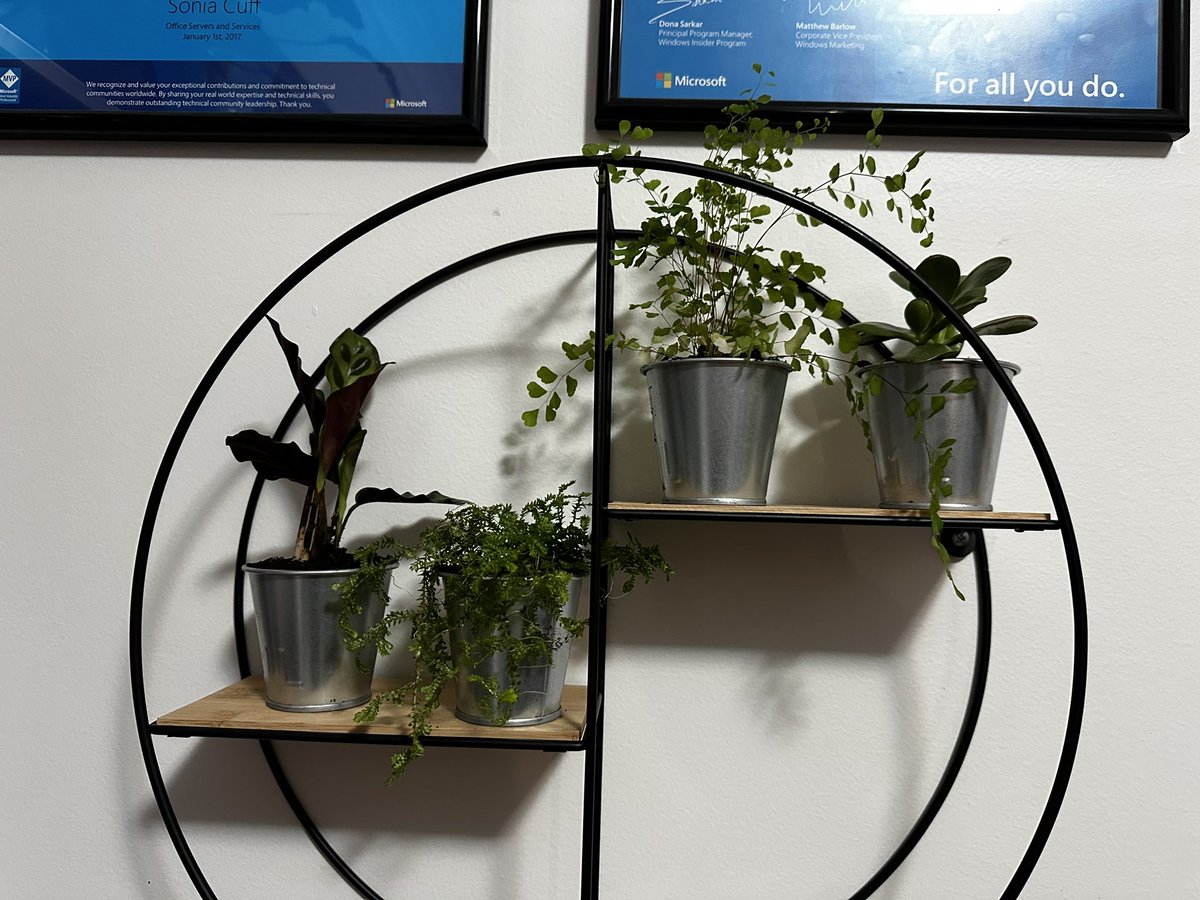 Sonia Cuff tweet media