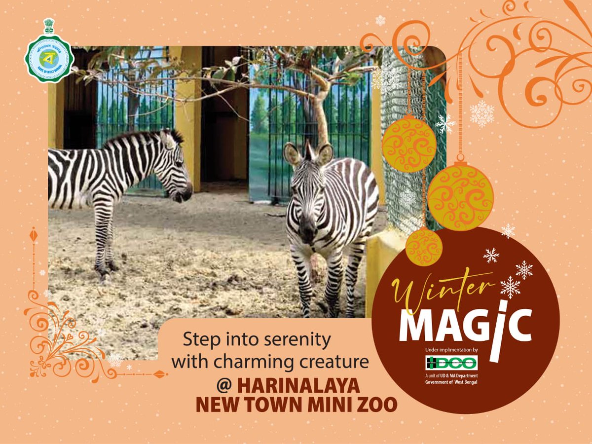 wbhidco_ltd's tweet photo. Embark on a journey into serenity at Harinalaya Mini Zoo, where enchanting creatures await to captivate your heart.
Immerse yourself in the beauty of nature and the charm of our adorable residents.

#harinalayazoo #natureescape #charmingcreatures #zoo #visit #kolkata https://t.co/BgGSqw0Iwh