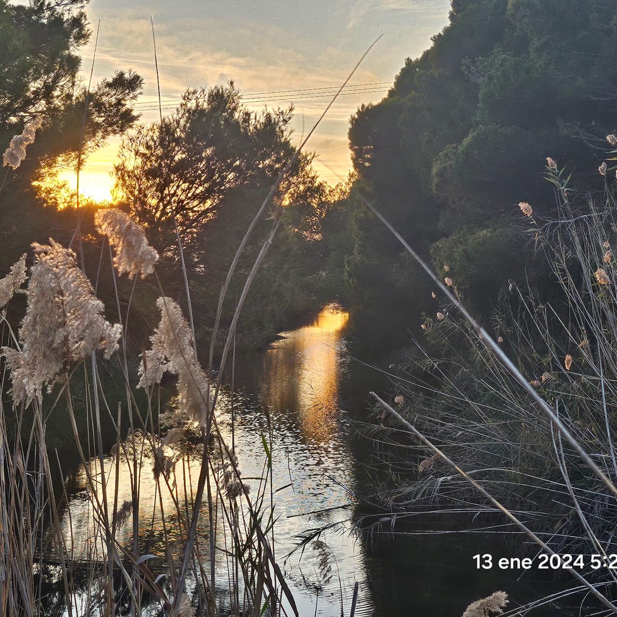 Llegado el momento sale de tu mano, algo tan especial como esta imagen!. La luz sale de un lado, y se refleja en otro!. El sendero se ilumina, por donde menos lo esperas! El camino no es fácil, pero ya estás iluminado,  para no quedarte a oscuras!. 
#arte #PhotographyIsArt