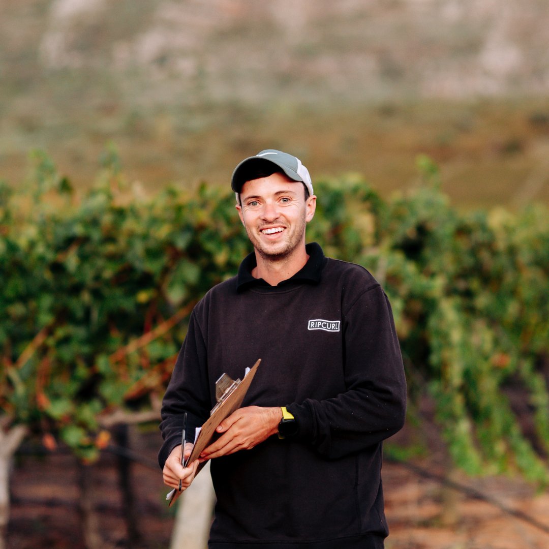 Saronsberg Cellar tweet media