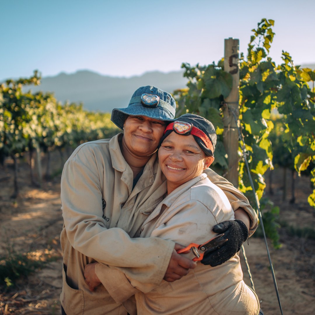 Saronsberg Cellar tweet media