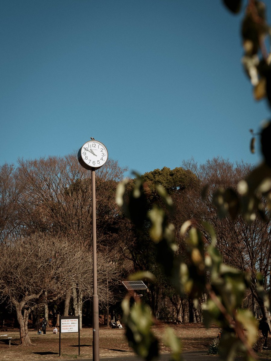 barrabrava's tweet photo. SEL50F14GM
子どもとの公園散歩にも問題無く持ってける大きさ。そして結構寄れる。使うの楽しい。 https://t.co/1wVBgMG5sb