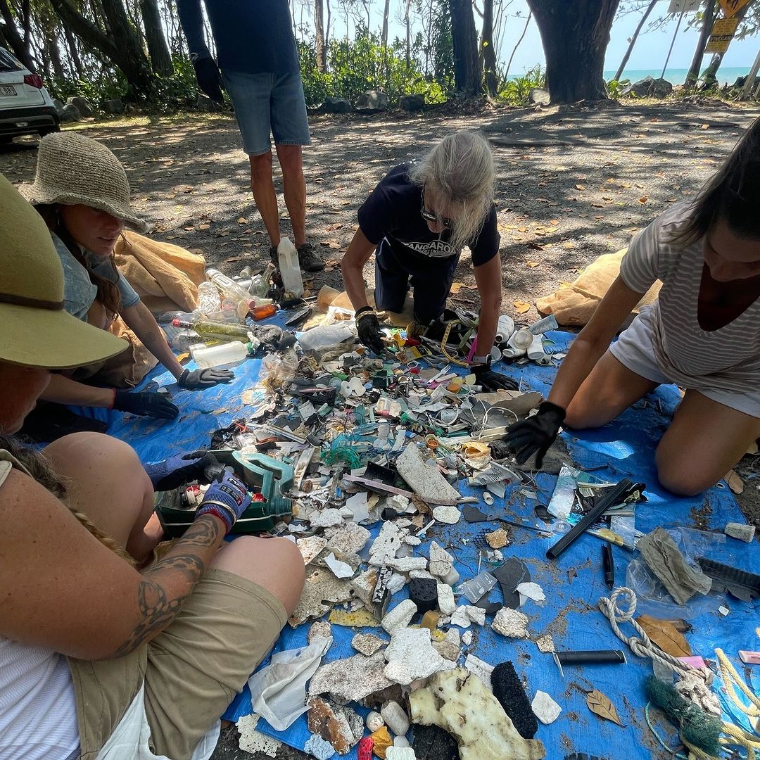 Great Barrier Reef Marine Park Authority tweet media