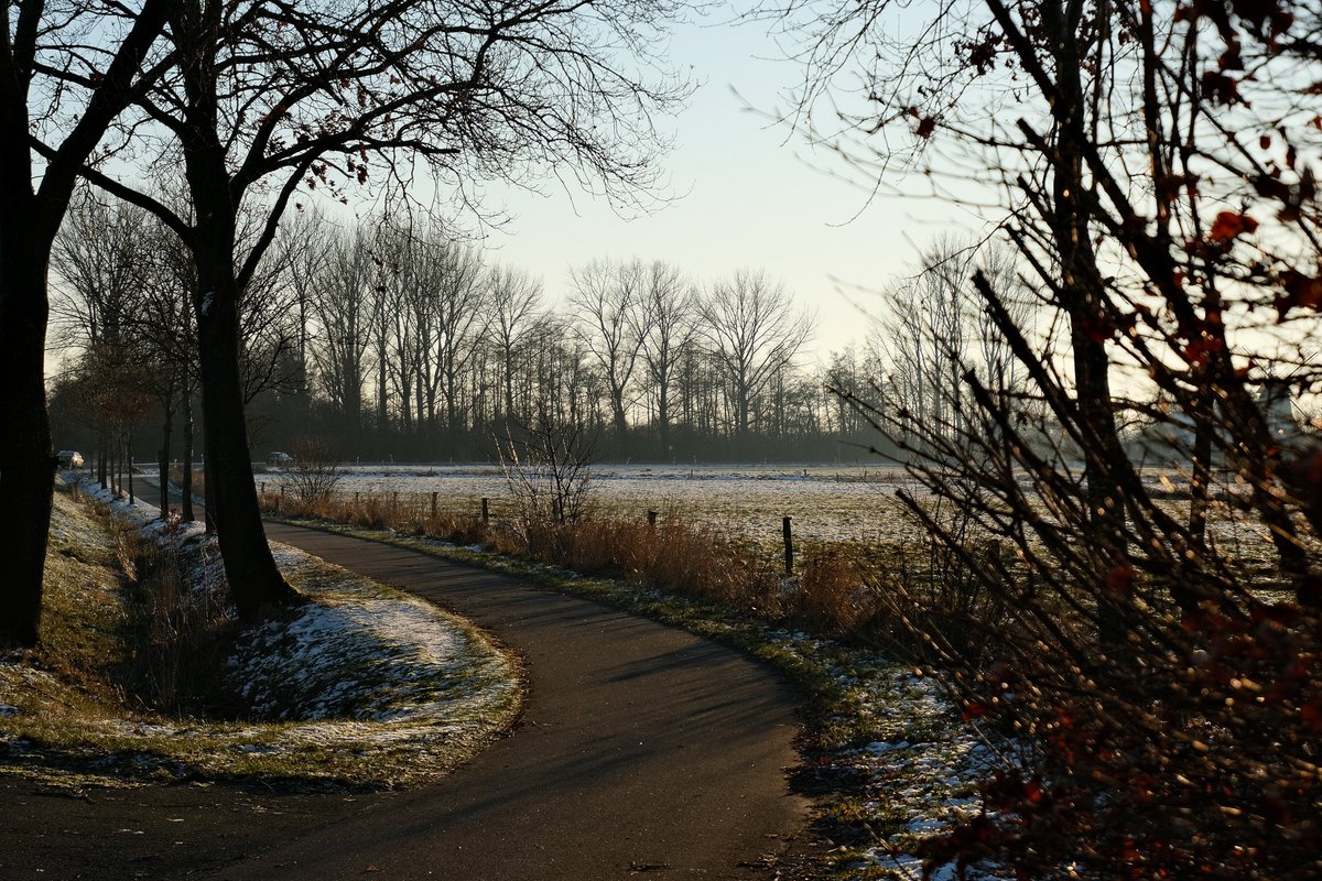 rob_sieben's tweet photo. Curve technology is necessary here. #Fotos #fotografie #landscapephotography #fotografia #ostfriesland #landscape #Simonswolde #WINTER #sun link: https://t.co/B5MyiQJHjF https://t.co/opkTbtJ2yK
