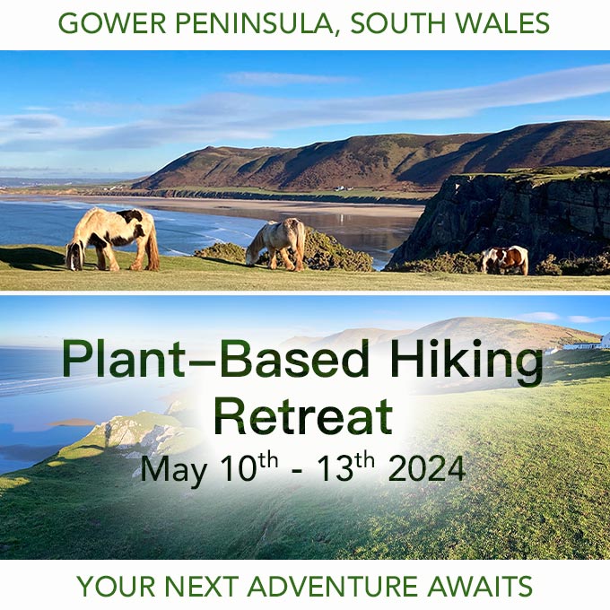 NEW Plant-based Hiking Retreat in South Wales open.substack.com/pub/anastasiae… 
#plantbased #plantbasedhiking