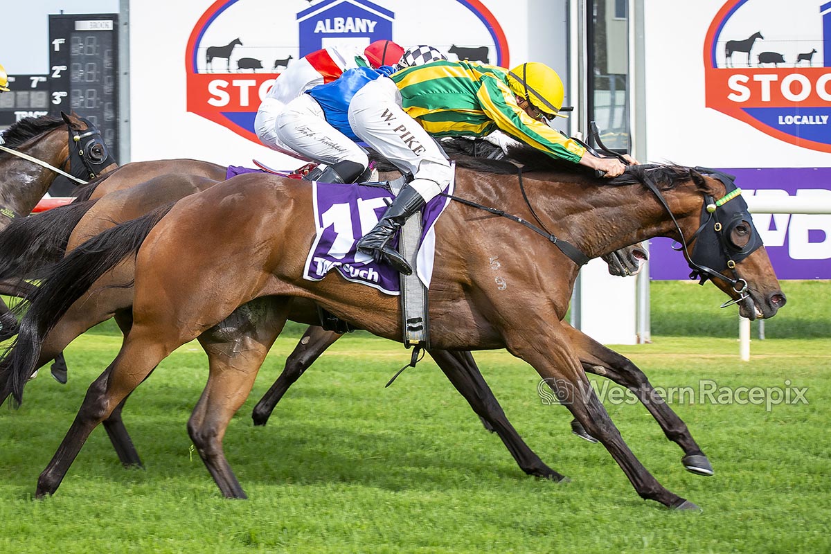 WesternRacepix's tweet photo. SUPERSESSION - 2024 @TAB_touch Fitzpatrick Plate @AlbanyRacing #WesternRacepix #FitzpatrickPlateDay

More 📷 https://t.co/XhRFkk00xX https://t.co/EKRqLJ1rza
