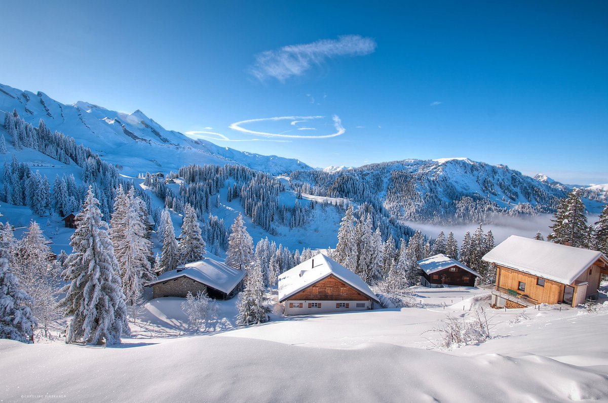 Klewenalp, today above the fog ☀️⛷️🛷
#Klewenalp #LakeLucerneRegion #Nidwalden
❄️👉 nidwalden.com/winter 
@myswitzerland_e