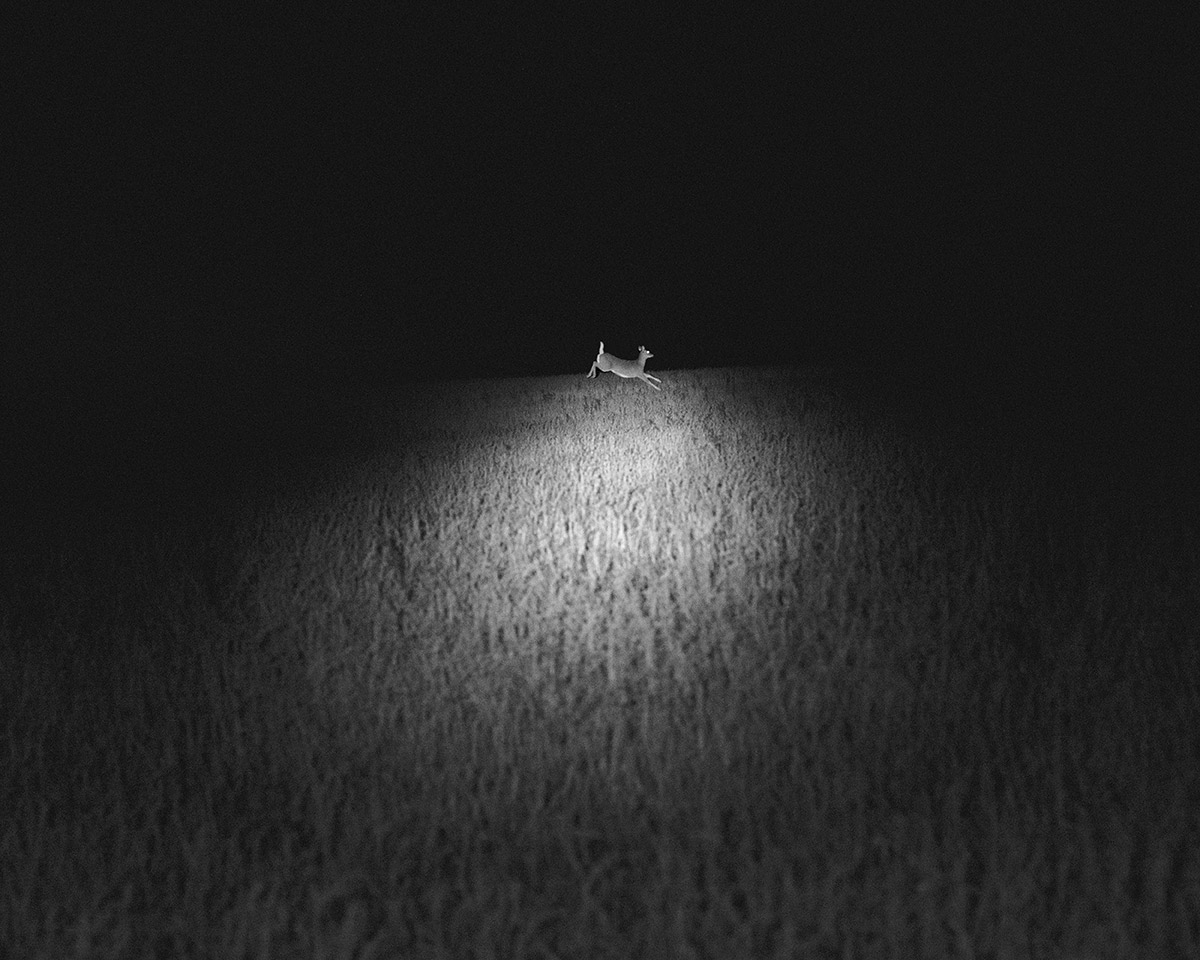 MinimalPorn's tweet photo. Dormant Season by Erinn Springer
https://t.co/zOj0u3sI0S https://t.co/DB4fTKhXoI