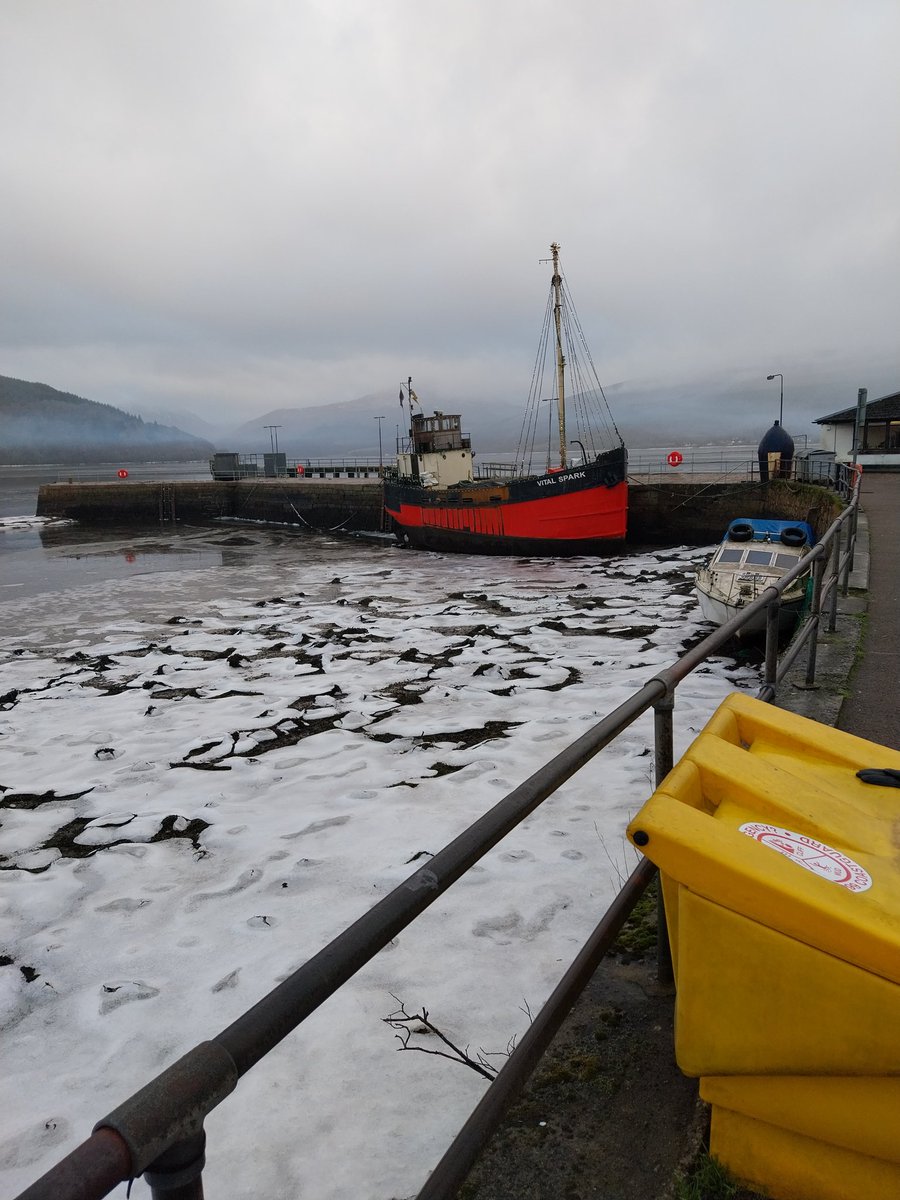 PictureThis Scotland tweet media