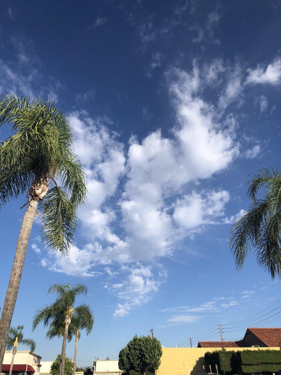 Sun✈︎✈︎✈︎🇺🇸🧸 tweet media