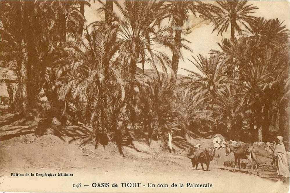 ElementUtil's tweet photo. رحلة زمنية إلى واحة تيوت 🌴🌴
Voyage à travers le temps à l'oasis de #Tiout
Full video 👇🏼 الفيديو كاملا
https://t.co/wGeAYwMp1j https://t.co/uBqSdszDRs