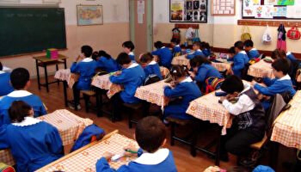 İlkokul numarasını hatırlayan var mı?