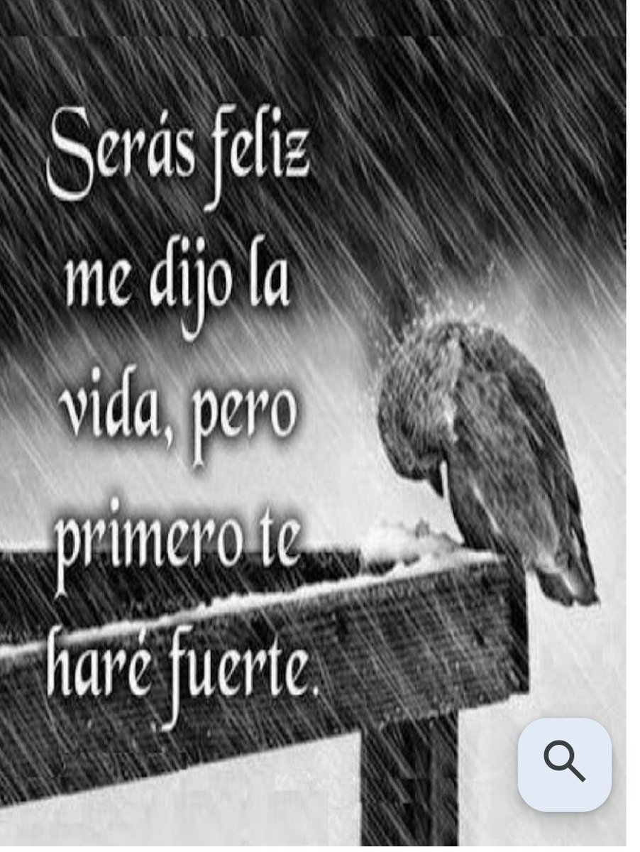 No quedarse en Resiliencia el propósito fundamental de la vida es encontrar la felicidad, la paz y la justicia social. Lissete Ricaurte #FelizDomingo #FelizDiaOsQuiero #Paz #Yemen #Palestina #Congo #DiaMundialContraLaDepresion #Mundo #Guayaquil #Cuenca #Amazonía #Ecuador