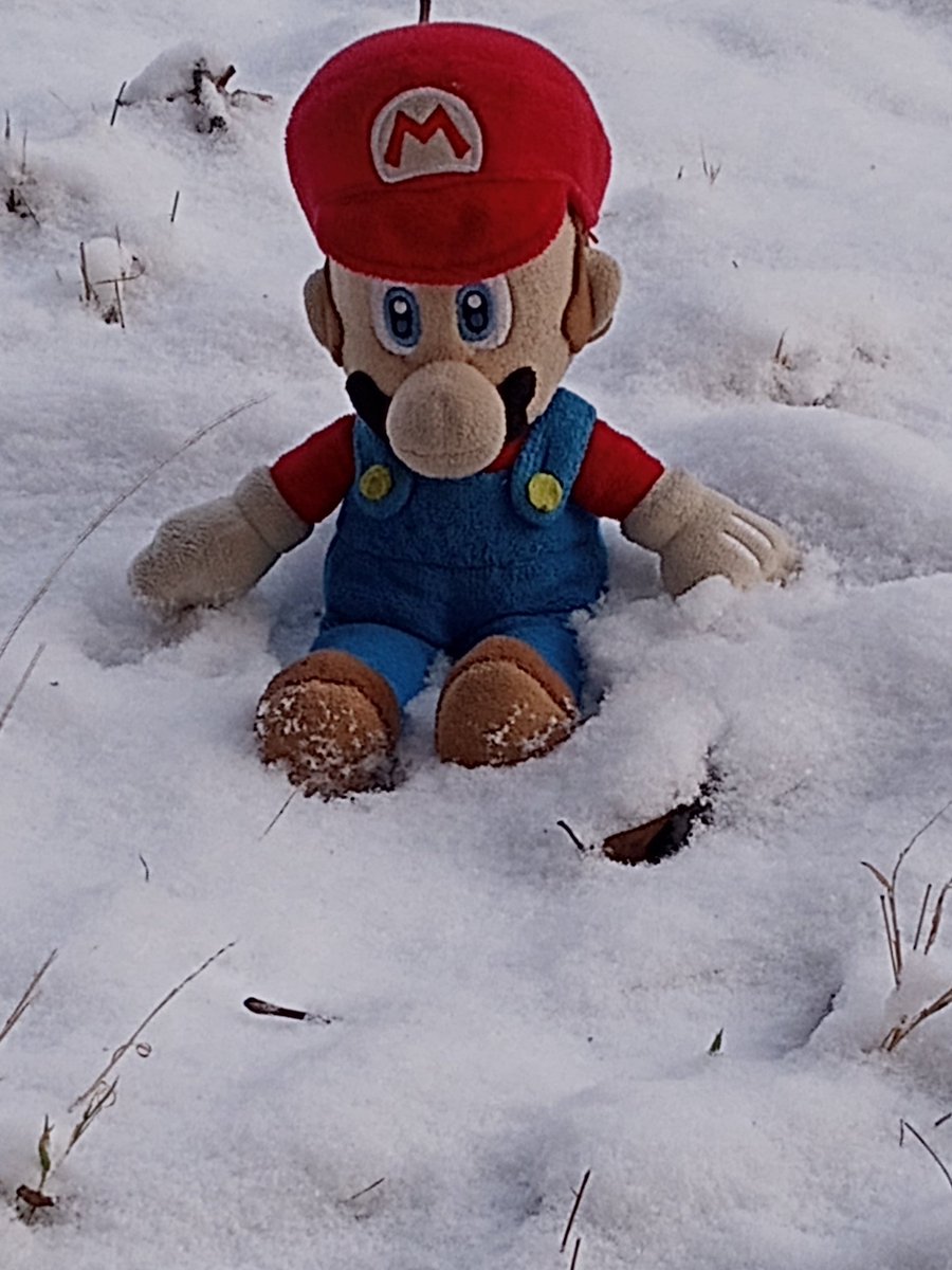 MarioStayPos's tweet image. Look guys I'm playing in the snoooooow!!! 😁
#WINTER