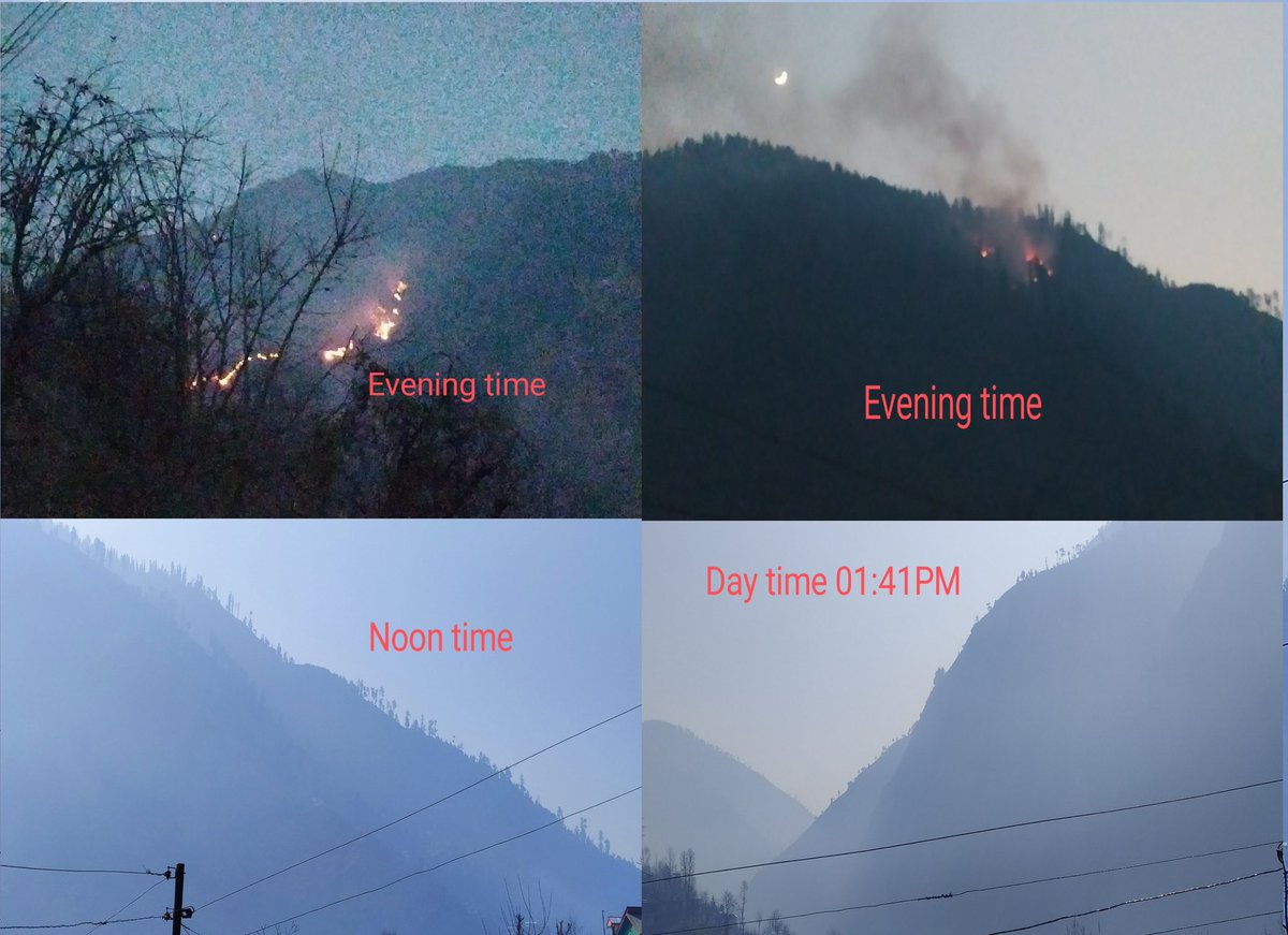 SharoxM's tweet photo. Worthy administration, please take action to protect our forests and wildlife from the devastating effects of forest fires.
#SaveOurForests #StopForestFires #ProtectWildlife #PreserveNature #ActOnClimate #SustainableFuture #GreenLiving #ConservationMatters #ProtectOurPlanet https://t.co/ZkCSSoEEg7