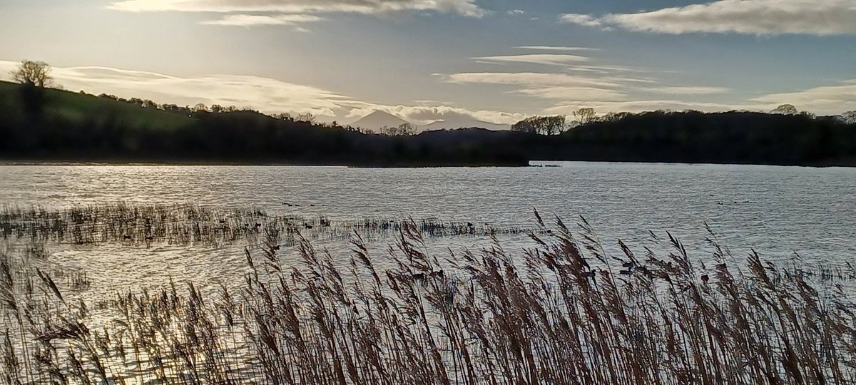 Patrick Brannigan also at bsky.social tweet media