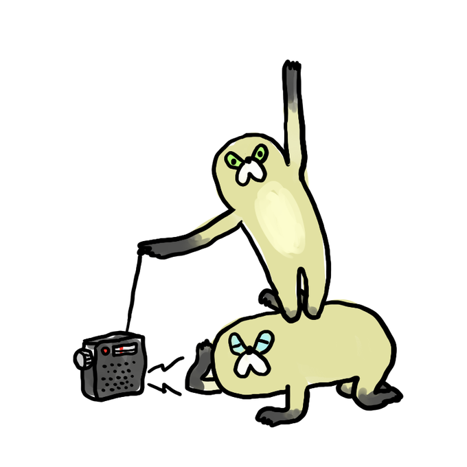 エアチェックムジーナ 