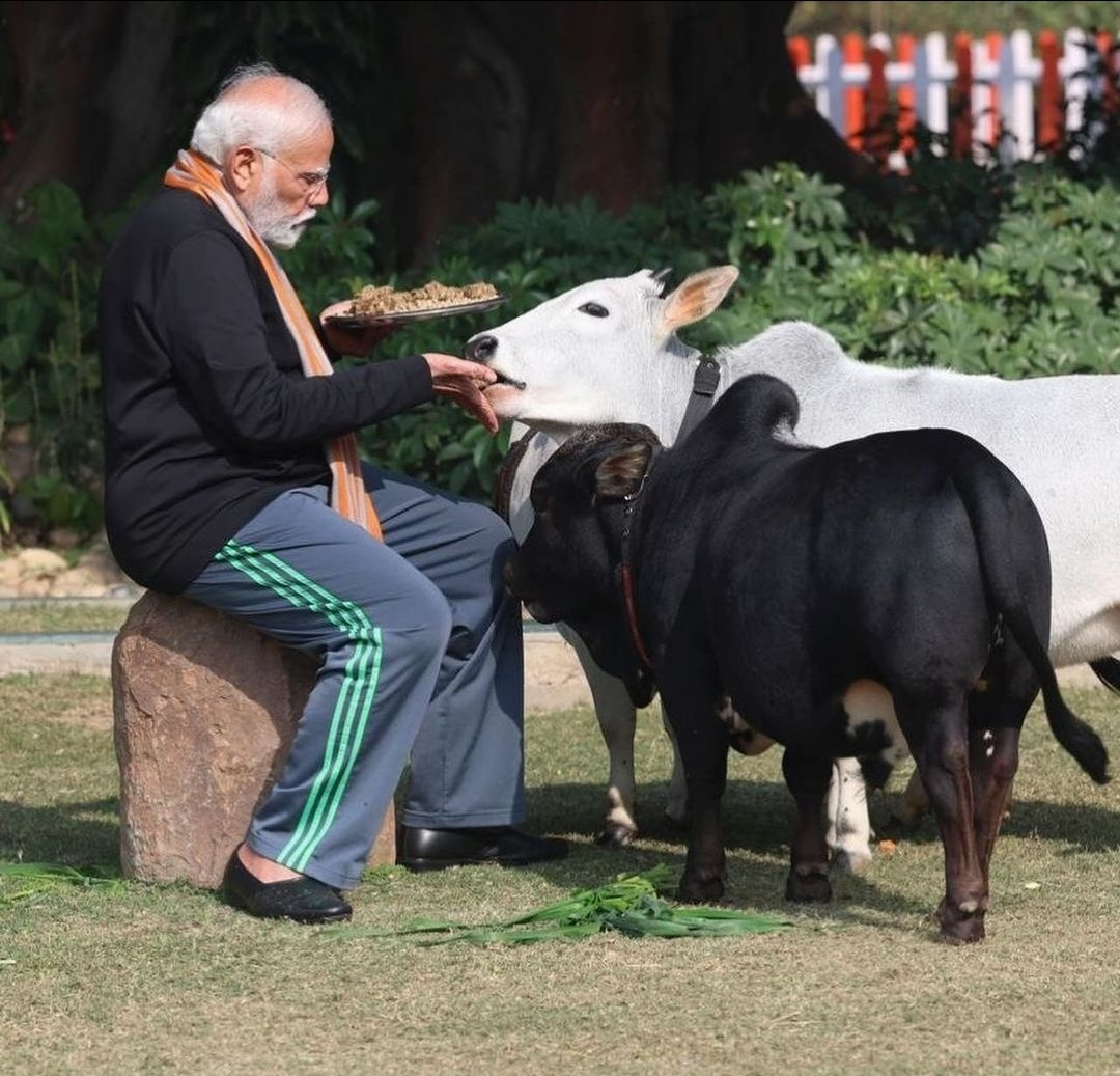 jpbohra4bjp's tweet photo. सर्वे देवा: स्थिता देहे सर्वदेवमयी हि गौ:

प्रधानमंत्री आवास पर गौ-सेवा करते प्रधानमंत्री 
श्री @narendramodi जी https://t.co/Nb0OS35Hj7