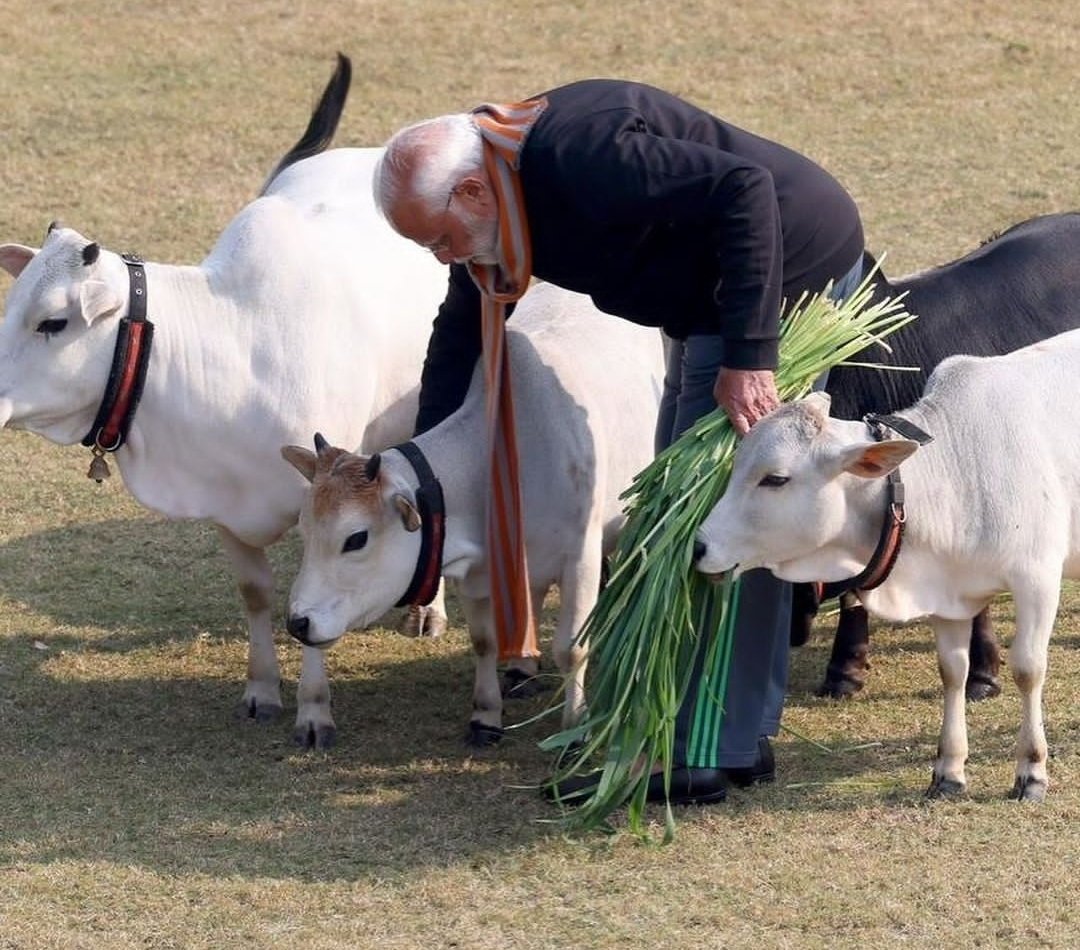 jpbohra4bjp's tweet photo. सर्वे देवा: स्थिता देहे सर्वदेवमयी हि गौ:

प्रधानमंत्री आवास पर गौ-सेवा करते प्रधानमंत्री 
श्री @narendramodi जी https://t.co/Nb0OS35Hj7