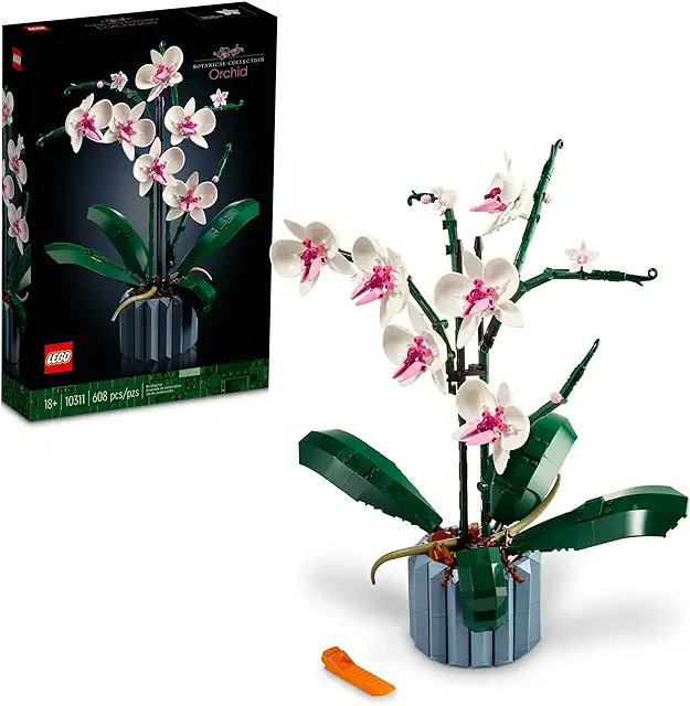 AHallPhotograph's tweet image. My favorite kind of houseplant amzn.to/4b9QXpd 🤣 .@LEGO_Group #orchids #lego #legoplants #legoorchid #legos #legoflower #orchid #legobricks #botany #orchidlego #buildmore