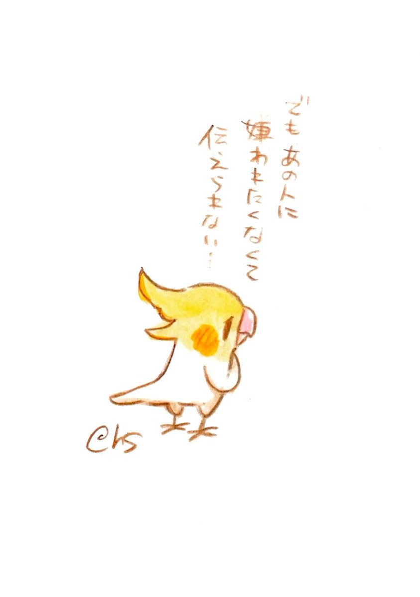 でもあの人に嫌われたくなくて
伝えられない...

#1日1回恋することり 