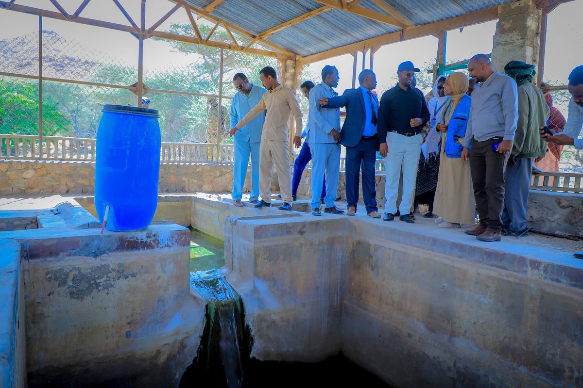 Sulayman Y. Ali Koore tweet media