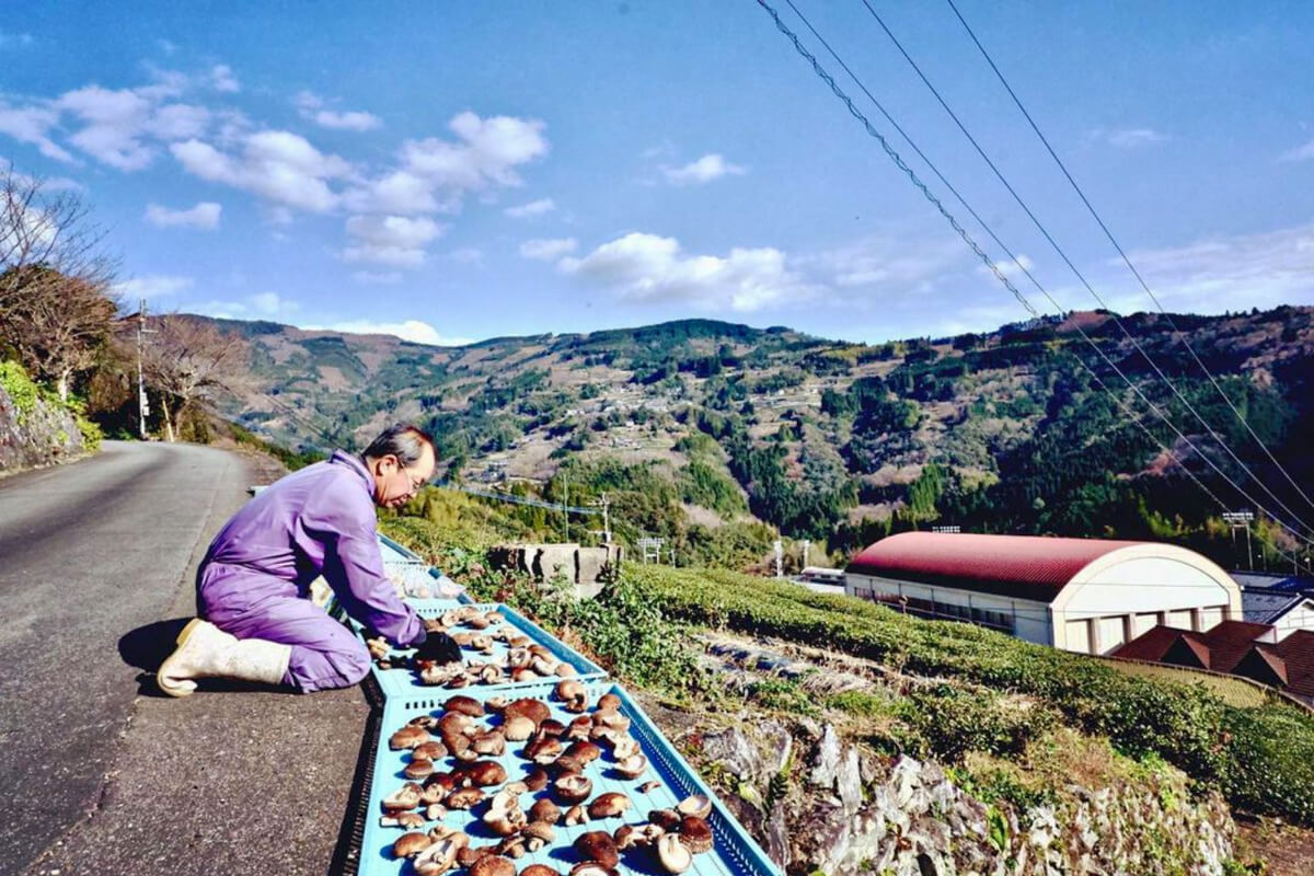 【本日まで】
「あの１年を経験したおかげで、違う道のりを辿ってもいいんじゃないかって思うようになりました。農家さんも、農業以外の仕事をしながら暮らしていることを知れたので」
「いろんな大人と話せたし、いろんな価値観に触れることができた。すごく人に恵まれたなって、改めて感じています」