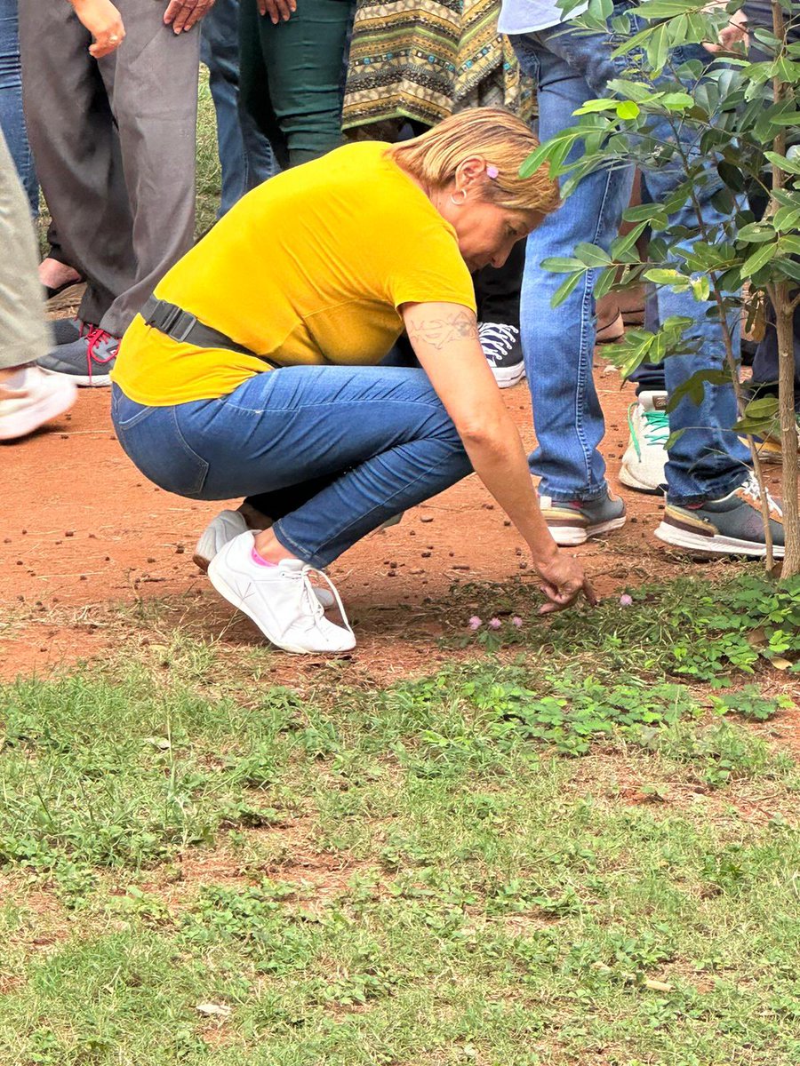 RBonifacio2024's tweet photo. Defender y cuidar del medioambiente es un deber de todos.#EllaPuede @minoutavarezm @VirginiaAntares @RdaBetania @estephanyen @nidiaguzmanrd https://t.co/tg8kY59OIw