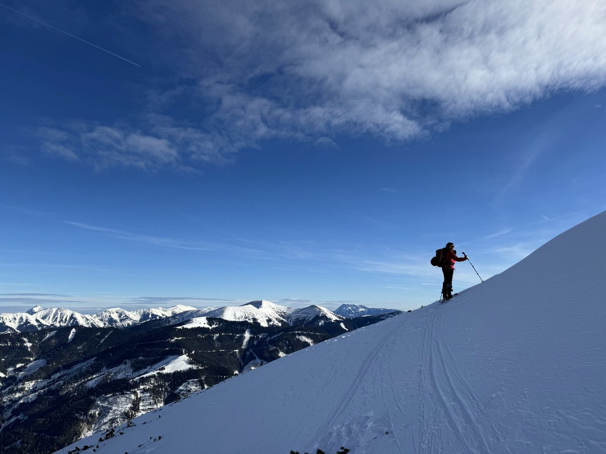 Johanna Pirker tweet media