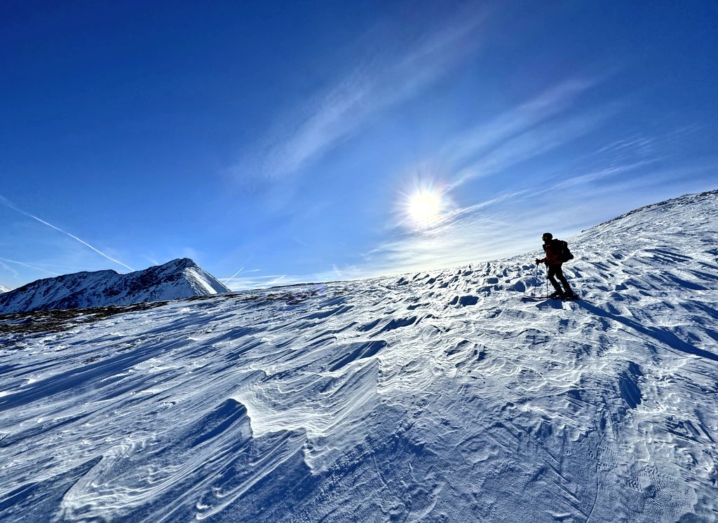 Johanna Pirker tweet media