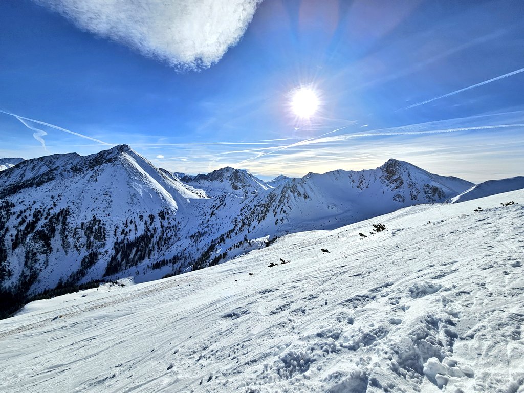 Johanna Pirker tweet media