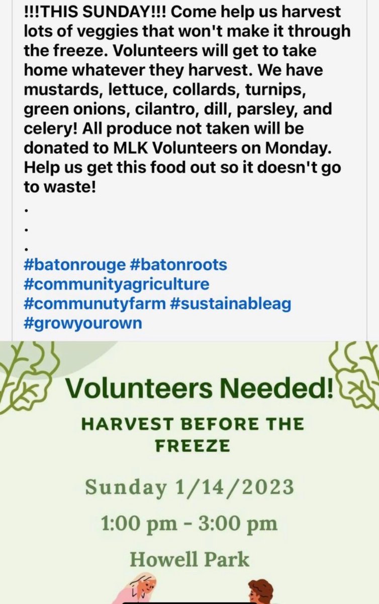 SenBarrowLA15's tweet photo. ALERT!!!! ALERT!!!!!

TODAY-PLEASE COME HELP and TAKE HOME WHAT YOU PICK!! https://t.co/gwLJj0dqNh