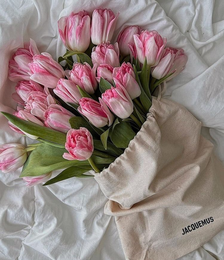 prettiestavenue's tweet photo. pretty tulips 🌷 https://t.co/pWQ4uTyTur