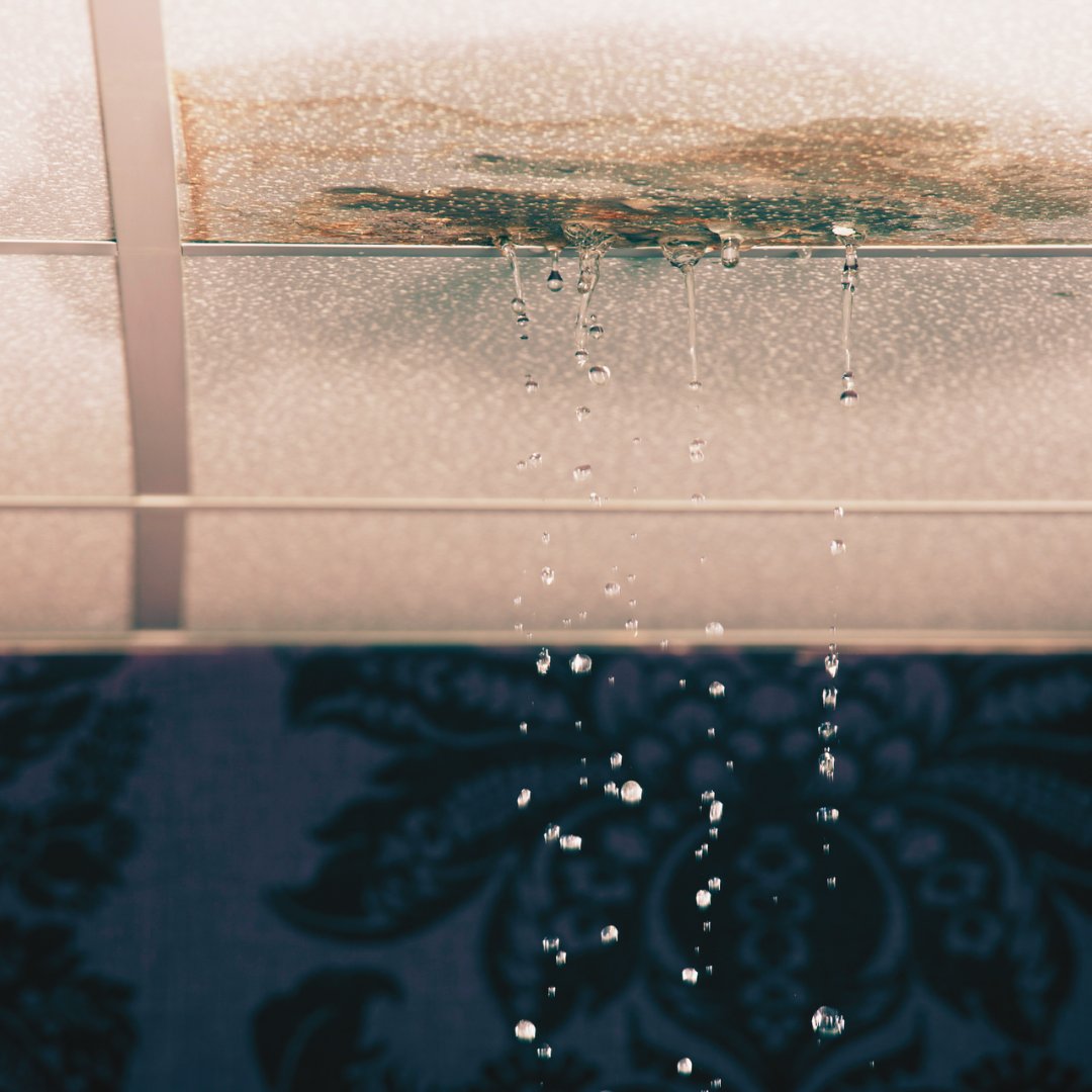 Don’t let water leaks go undetected! 👀

⭐ Our advanced technology can pinpoint leaks quickly and efficiently, preventing damage and preserving resources.

Contact us today to learn how our services can benefit you! 📞 (407) 233-0493

#airqualityassessors #leakdetection