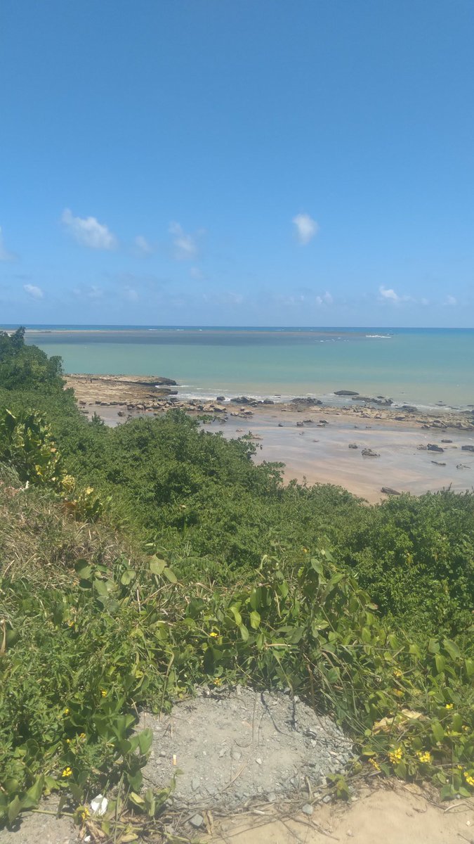 rute_sheila's tweet photo. Eu te amo Alagoas
#Japaratinga https://t.co/njzmJfzGQj