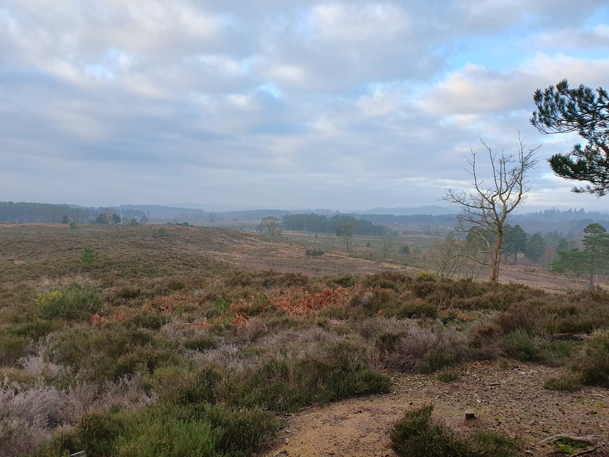 ZhepzyMudRunner's tweet image. Beautiful Sunny Sunday for a little pootle out and about! 
#TWC #TwittaWinterChallenge #SonicWinterSprinters