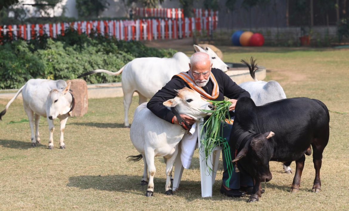AmanChopra_'s tweet photo. PM feeds cows on the occasion of Makar Sankranti at his residence. https://t.co/RB2Q0EO4zy
