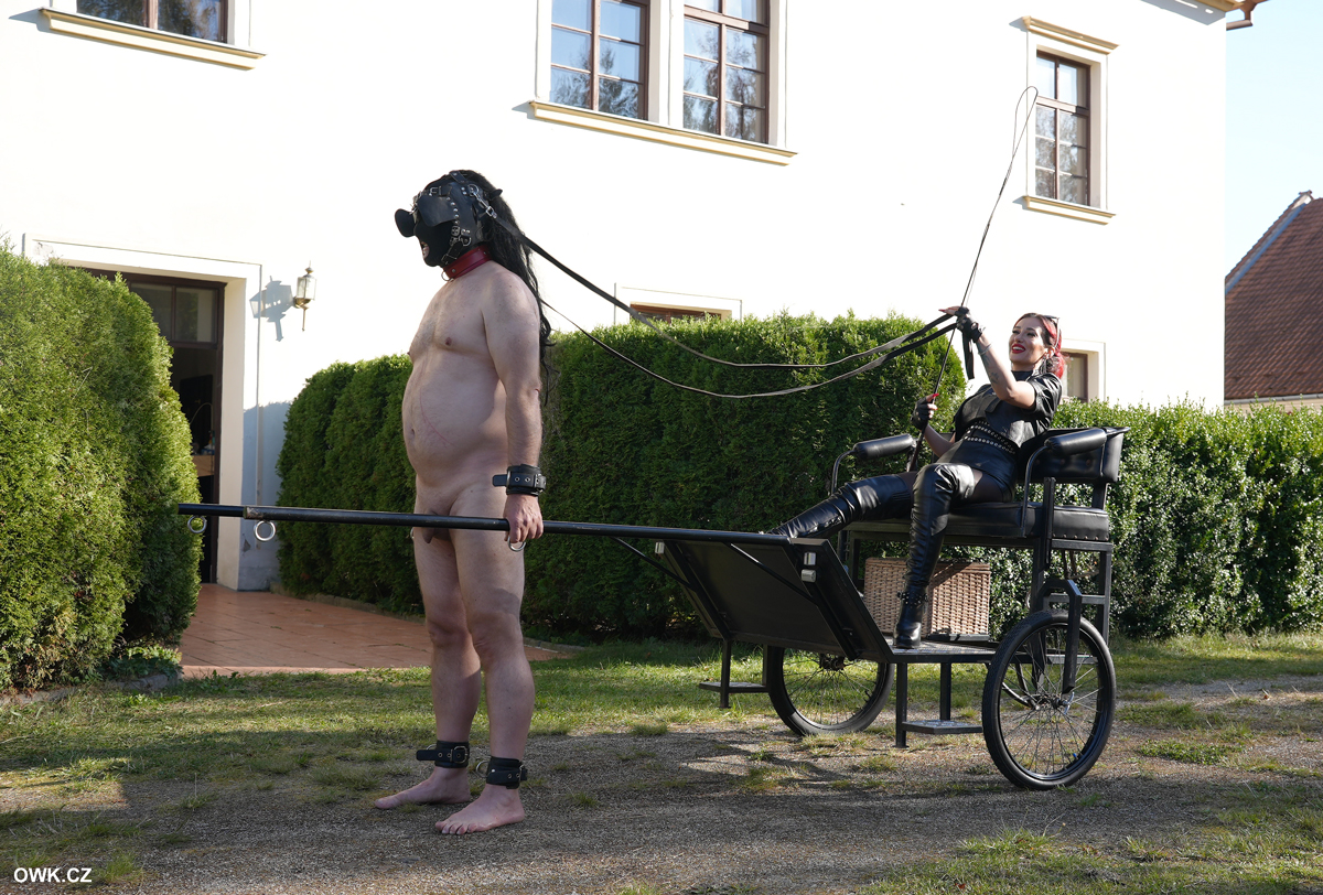 OWK.CZ - daily update for #OWK main website:  
12 new photos in Rickshaw slaves gallery 

📷Mistress Amanda <a href="/MistressAmandaa/">𝐌𝐈𝐒𝐓𝐑𝐄𝐒𝐒 𝐀𝐌𝐀𝐍𝐃𝐀</a> at <a href="/OWK_CASTLE/">OWK CASTLE🏰</a>

(trailer &amp; clip: dominity.com/67389-25616)

91496 pics, 224 clips &amp; much more #Femdom👠
Join us!  owk.cz/joinus.php