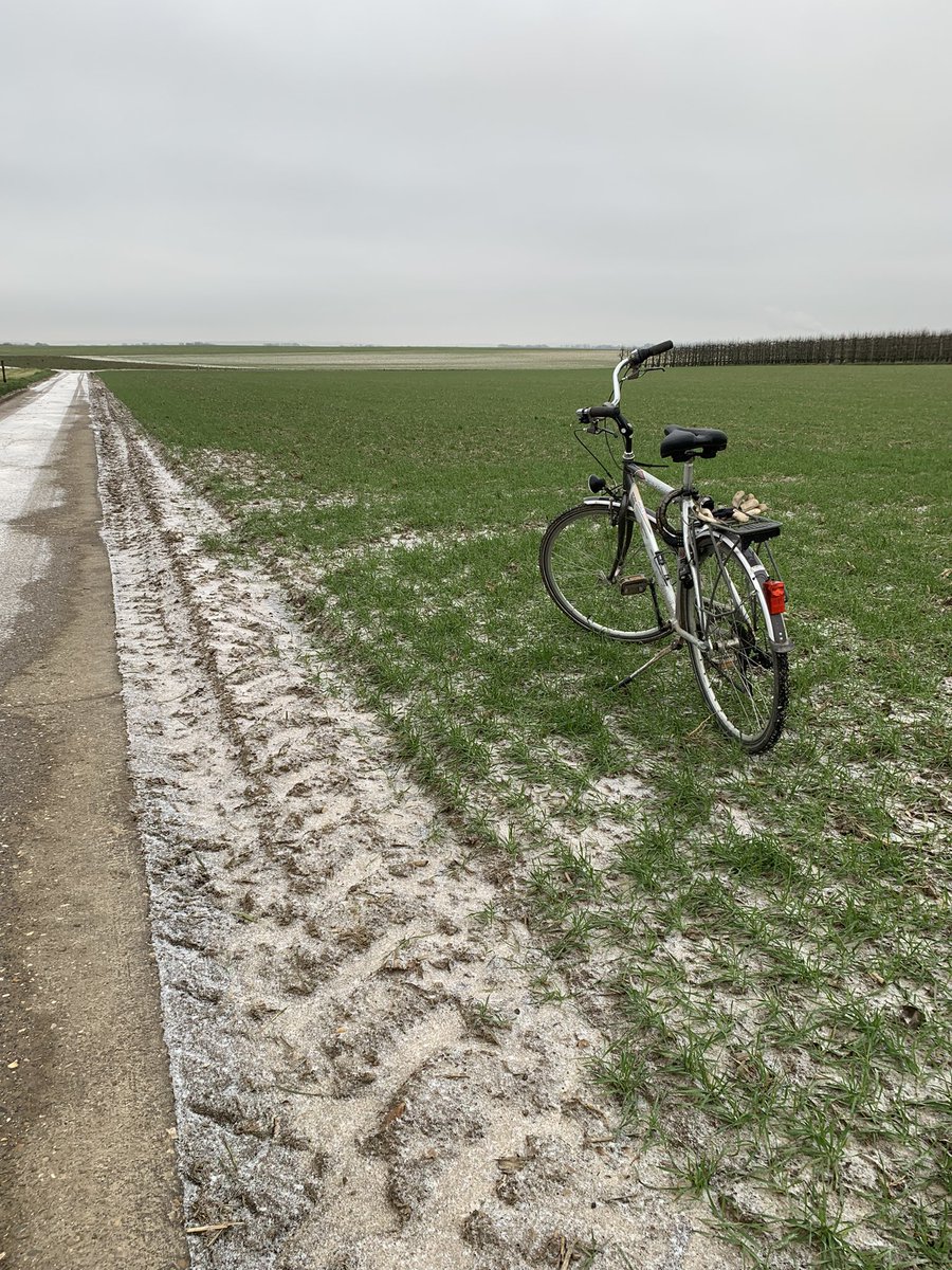 hendrik kerkhofs tweet media