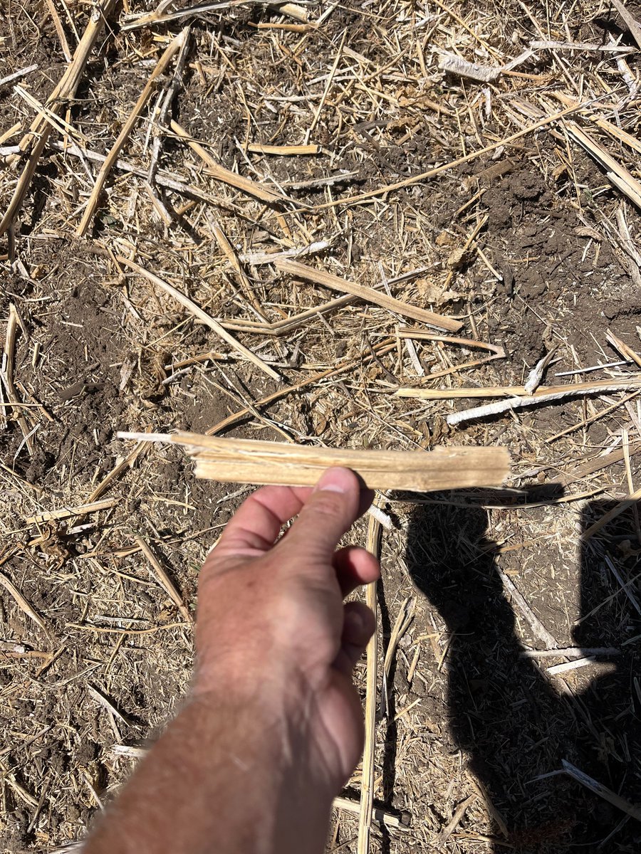 CTS Ag and Cowaramup Tractors. tweet media