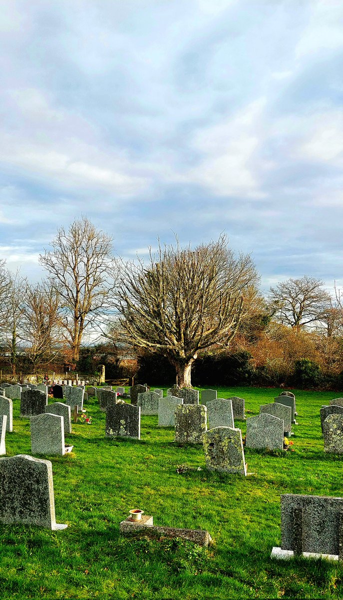 Chilly but enjoyable 20 minute walk to ring, 30 mins on the tenor, walk home. To be repeated later for #Evensong but in the dark. Phone torch at the ready to walk through the churchyard 😱. Good to have Adrian with us today <a href="/KingstonRingers/">Kingston Bell Ringers</a> <a href="/soshanau/">So-Shan Au</a> #bellringing