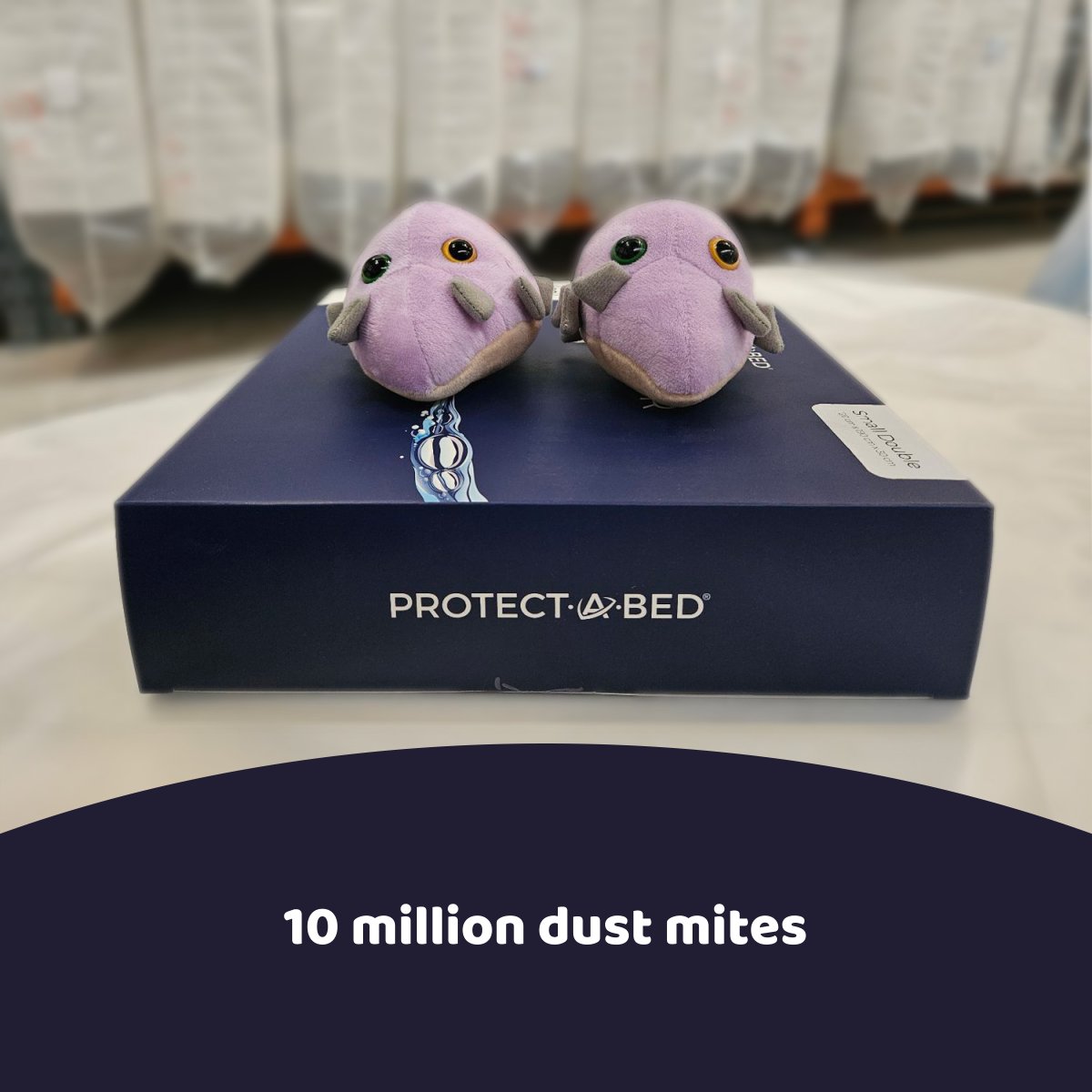 Did you answer our dust mite poll right? 

A mattress without a protector can host up to 10 MILLION dust mites 🤢

Save your family from the horror and check out our range of mattress protectors here: loom.ly/c3uhdY0

#dustmites #mattresonline #mattressprotector #mattress