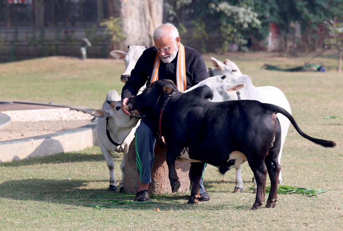 RubikaLiyaquat's tweet photo. मकर संक्रांति के मौक़े पर अपने आवास पर प्रधानमंत्री मोदी ने गौसेवा की… https://t.co/mxc9calQlK