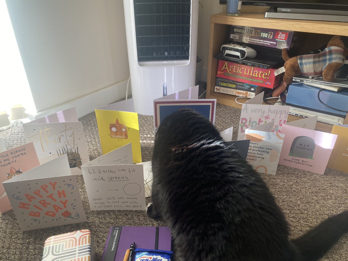 SianCWilliams's tweet photo. Tonky being overly invested it my birthday cards https://t.co/PWb97pyoPv