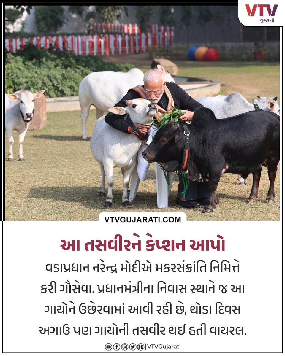 VtvGujarati's tweet photo. PM મોદીના નિવાસ સ્થાનમાં ગાયોનું લાલન-પાલન. મકરસંક્રાંતિ પર ખુદ PM મોદીએ ખવડાવ્યું ઘાસ.
#PMNarendraModi #uttrayan2024 #showcaseuttarayan #MakarSankrati #PMModi #VTVGujarati #VTVCard https://t.co/pyikRPwV77