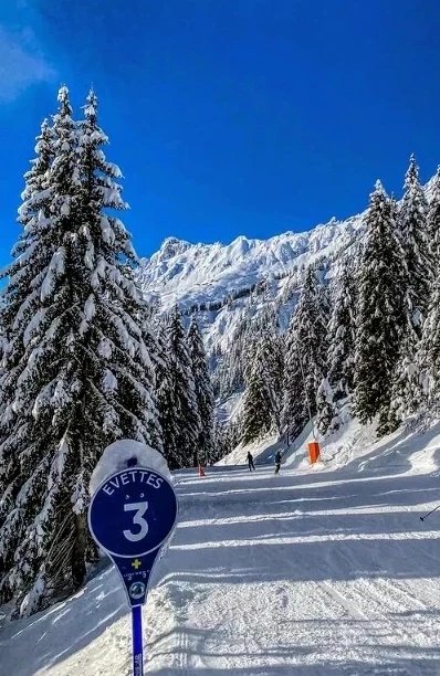 JwfitJohn's tweet image. Sunshine at last! A picture postcard day. Third run #laflegere nearly over and the body is hurting a little. Friends ahead don&apos;t care ☺️ Let&apos;s pretend I&apos;m pacing myself and beat them on the next Final run down. #activefun #attitude #liveyoungerforlonger #laflegere #montblanc 🇫🇷