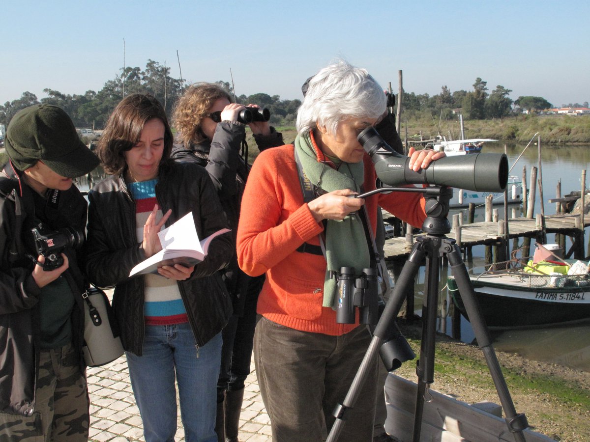 Graham Appleton (@grahamfappleton) on Twitter photo Today is the <a href="/WeBS_UK/">Wetland Bird Survey</a> January Priority Core Count! ❄️❄️❄️
Portuguese counters remind us that #waders that travel further south find much warmer conditions!
Roost counts in Portugal: wadertales.wordpress.com/2023/02/14/why…
Easy life for Portuguese Black-tailed Godwits:
wadertales.wordpress.com/2016/11/18/ove… Today is the <a href="/WeBS_UK/">Wetland Bird Survey</a> January Priority Core Count! ❄️❄️❄️
Portuguese counters remind us that #waders that travel further south find much warmer conditions!
Roost counts in Portugal: wadertales.wordpress.com/2023/02/14/why…
Easy life for Portuguese Black-tailed Godwits:
wadertales.wordpress.com/2016/11/18/ove…