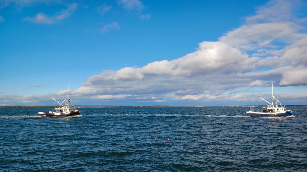 ImagesCoast's tweet photo. Lobster boat returns to the wharf at West Head, Clarks Harbour, Nova Scotia January 2024 #NovaScotia #lobster #CapeSable #lobsterboat https://t.co/2B8mPSW10L