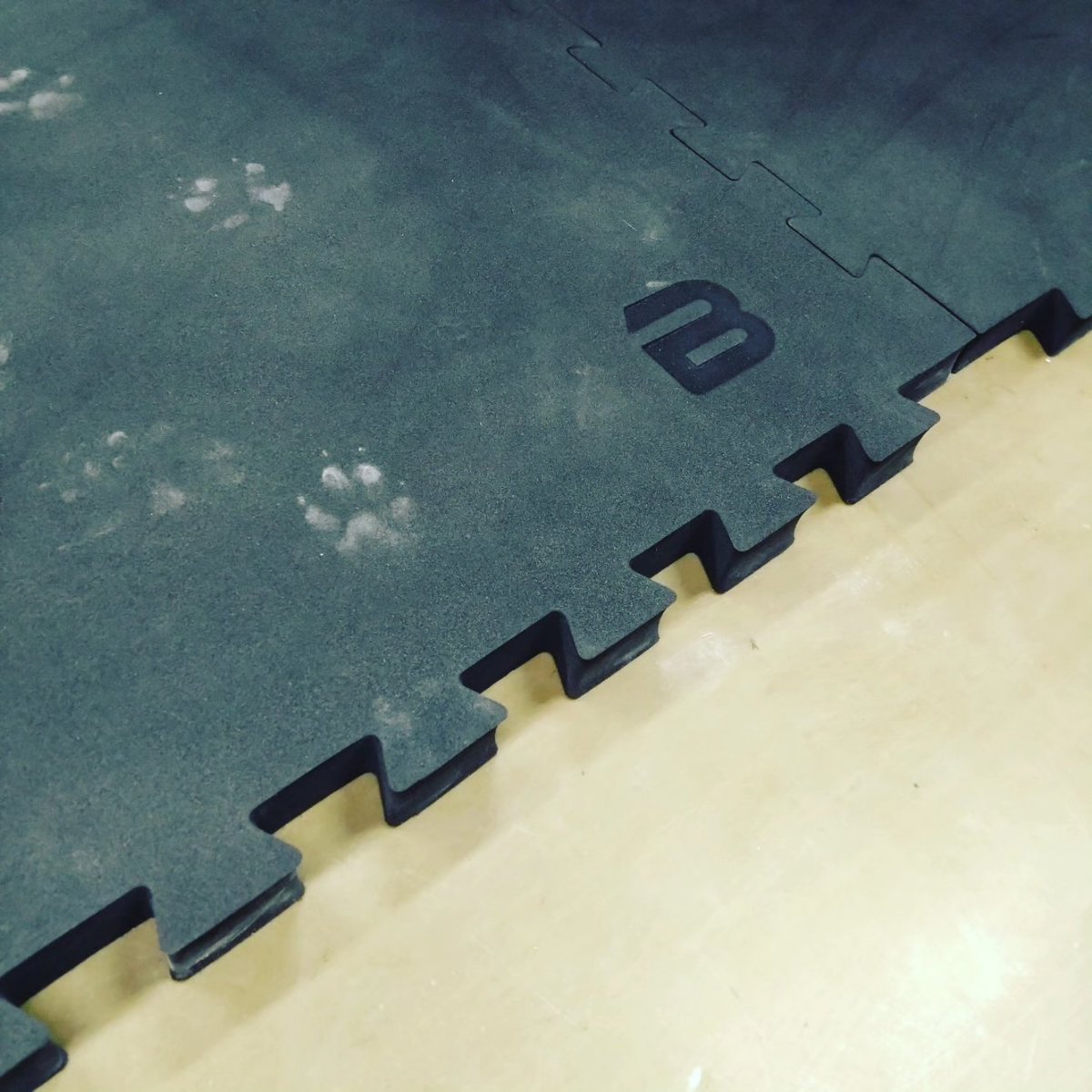 bodymetrix_PR's tweet photo. #トレサン #差入 してきました！
#ヤクルトスワローズ #塩見泰隆 #太田賢吾 #市橋崇見 #中日ドラゴンズ #ブライト健太 #自主トレ #ボディメトリクスジャパン #ボディメトリクス #bodymetrixjapan #bodymetrix #わんちゃん #trainigsandl
#メトリクスフォーム #metrixfoam
https://t.co/hChTcwRlwh https://t.co/Nda6NwkmWw