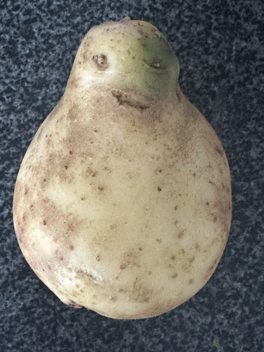 SteveCaseyPhoto's tweet photo. .@MrTaytoNI I’m sure my soup is going to taste amazing today because you’ll be in it 😂 #tayto #potato #ireland #NorthernIreland https://t.co/UFMdsjRWxl